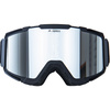 Snowboardové a lyžařské brýle Annox Team Adult Silver/Gold