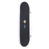 Kompletna Deskorolka Urban Sports Blue Skeleton 7.75"