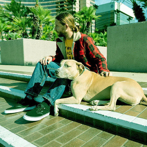 EMERICA Dickson Black/White/Gold Boty