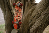 Surfskate prkno YOW Lakey Peak Power Surfing Series 32"