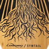 Longboard Loaded Symtail 39,5" Flex 1