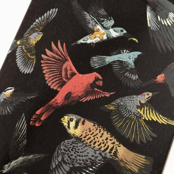 Longboard LandYachtz Stratus 45,5" Sanctuary