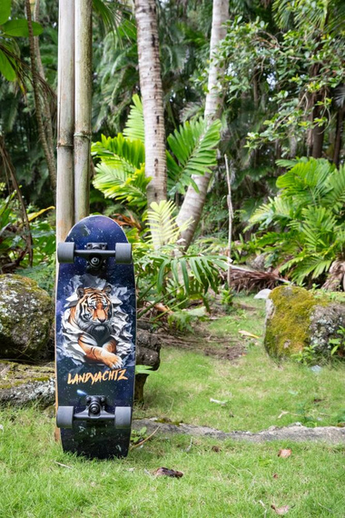 Cruiser skateboard LandYachtz Tugboat Space Tiger 30"