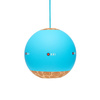 Kendama KROM Barva modrá