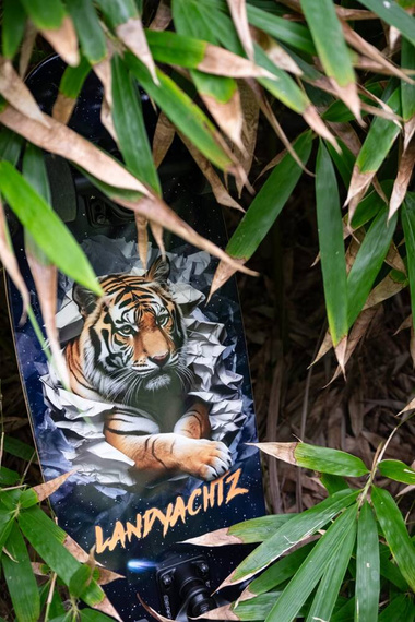 Cruiser skateboard LandYachtz Tugboat Space Tiger 30"